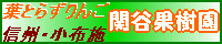 関谷果樹園
