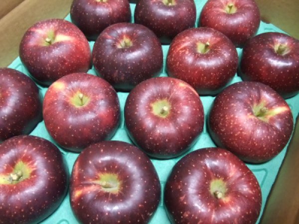 あめぴ様専用ページ 秋映 家庭用 農家直送 家庭用】秋映 約2.5kg 7‐14