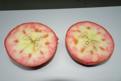 画像1: ムーンルージュ