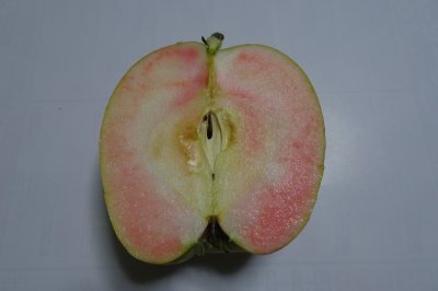 画像1: なかののきらめき