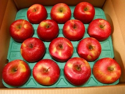 画像1: 葉とらずりんごサンふじ特秀１０キロ箱