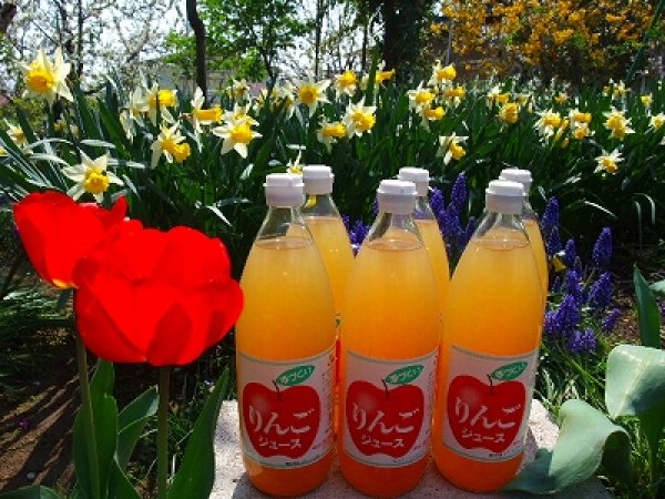 葉とらずりんごジュース|産地直送|関谷果樹園|小布施産 葉とらずりんごジュース|産地直送|関谷果樹園|小布施産