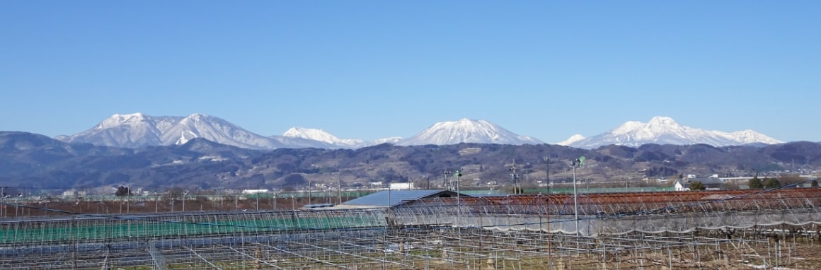 関谷果樹園